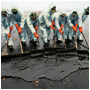 Oil Spills and Pollution Response